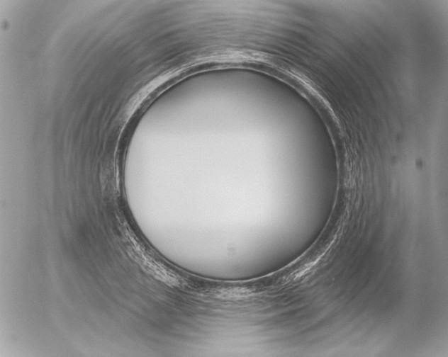 X0000054440837200508191609