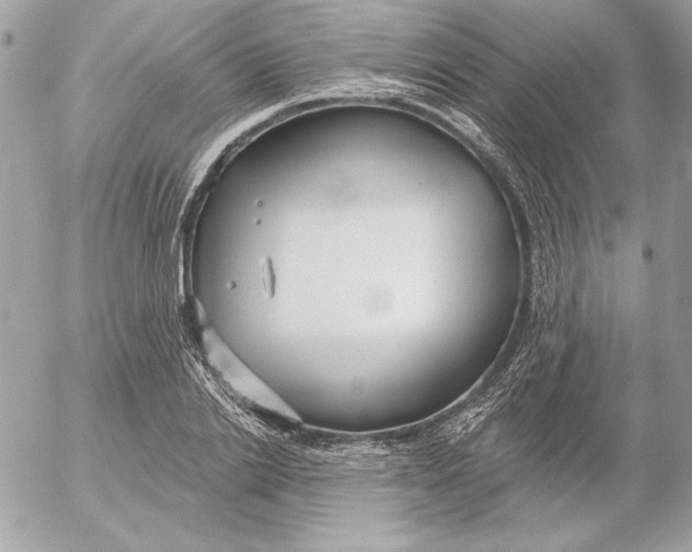 X0000054440838200508191609