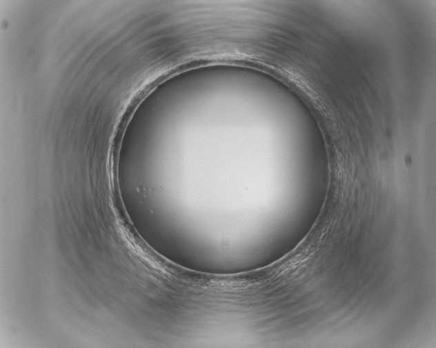 X0000054440840200508191609