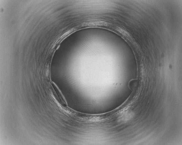 X0000054440841200508191609