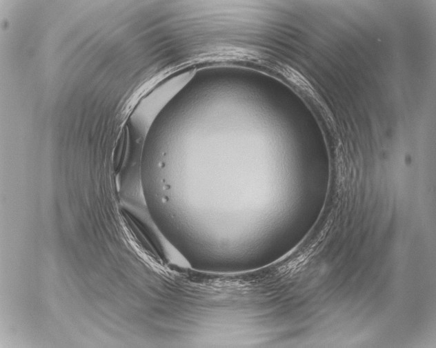 X0000054440842200508191609