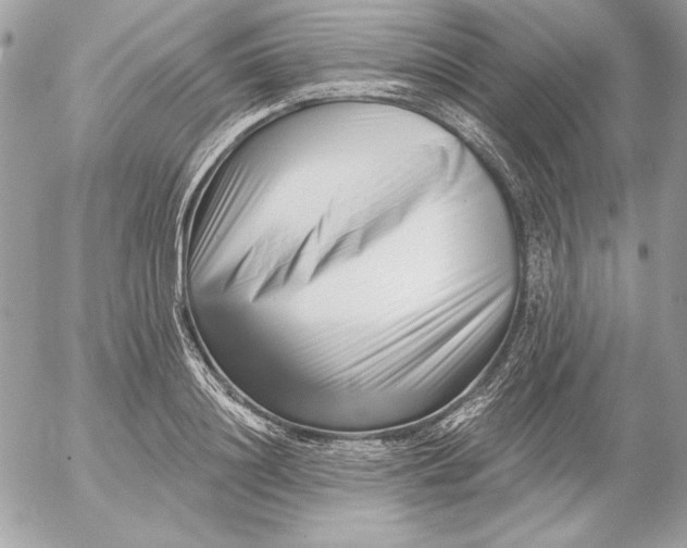 X0000054440844200508191609