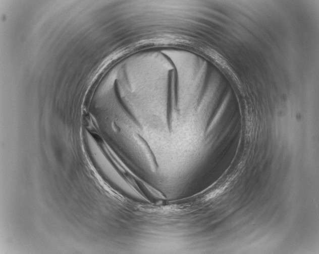 X0000054440845200508191609