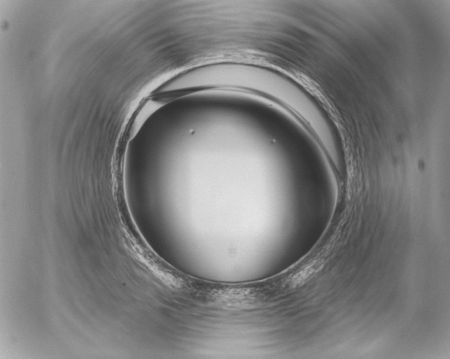 X0000054440846200508191609