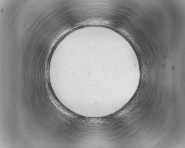 X0000054440848200508191609