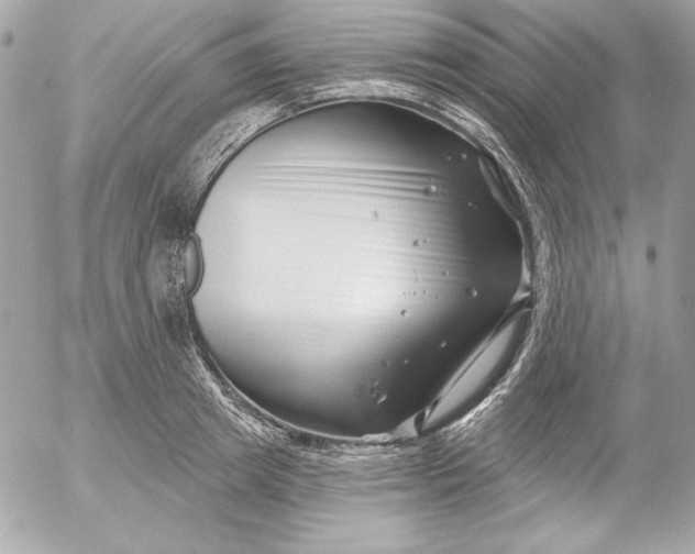 X0000054440849200508191609