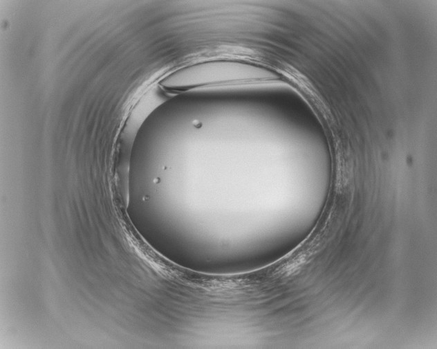 X0000054440850200508191609