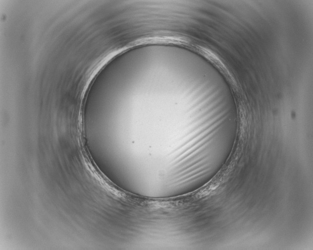 X0000054440852200508191609