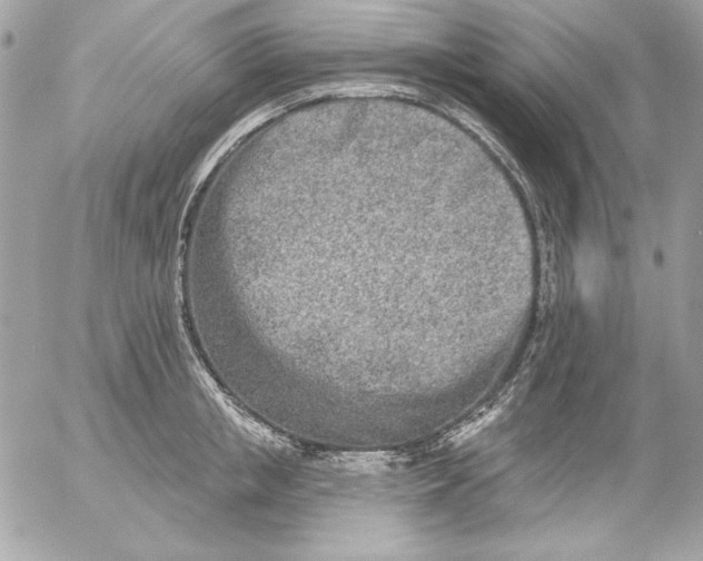 X0000054440853200508191609