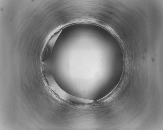 X0000054440854200508191609