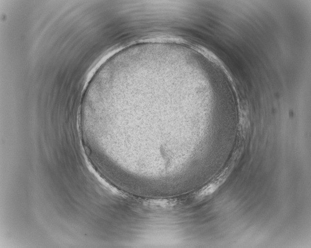 X0000054440855200508191609