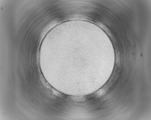 X0000054440856200508191609