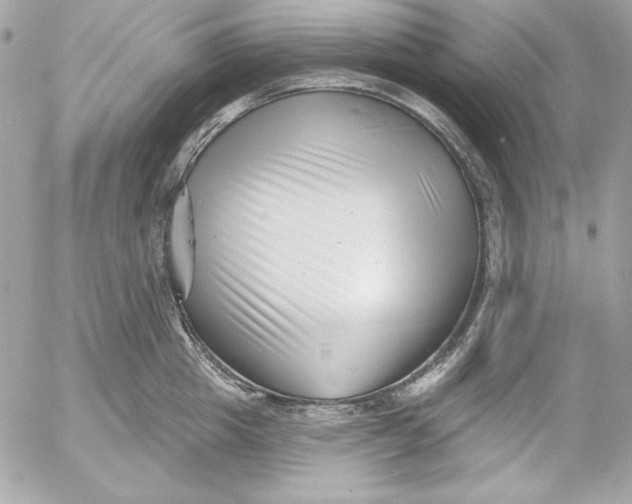 X0000054440857200508191609