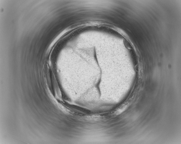 X0000054440859200508191609