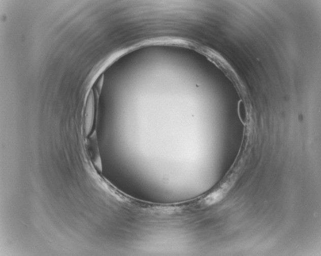 X0000054440860200508191609