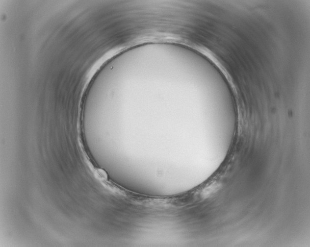 X0000054440861200508191609