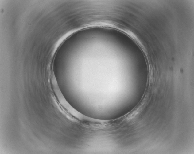 X0000054440862200508191609