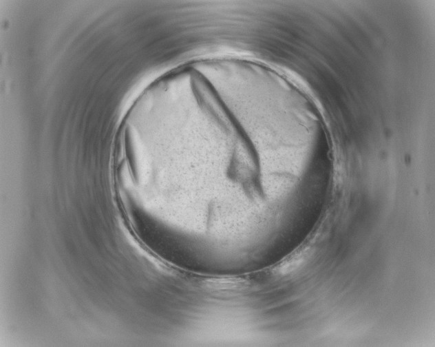 X0000054440863200508191609