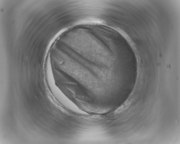 X0000054440864200508191609