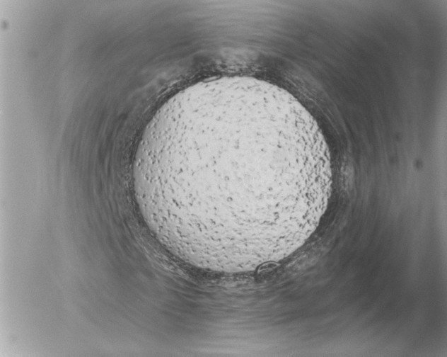 X0000054440865200508191609