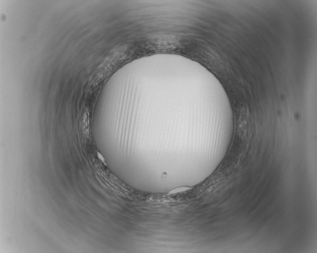 X0000054440866200508191609