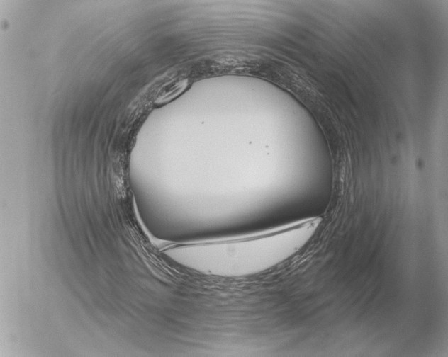 X0000054440868200508191609