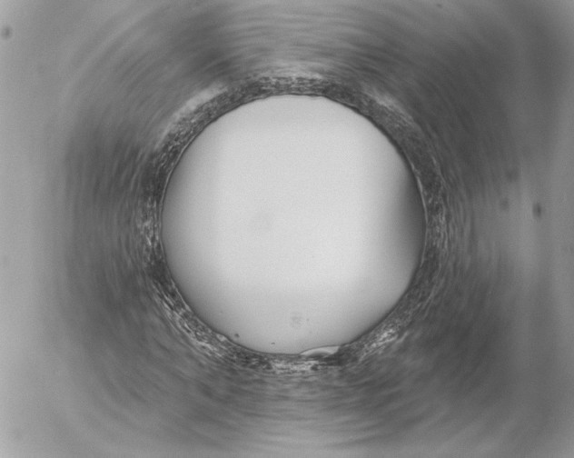 X0000054440870200508191608