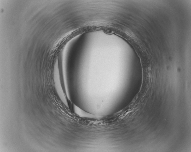 X0000054440872200508191608