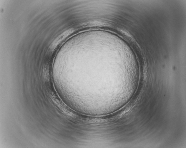 X0000054440873200508191608