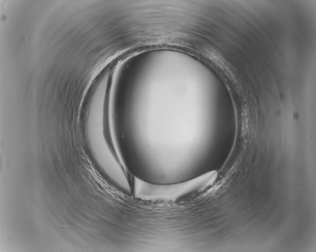 X0000054440876200508191608