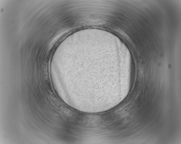 X0000054440878200508191608