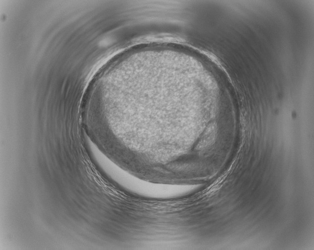 X0000054440879200508191608