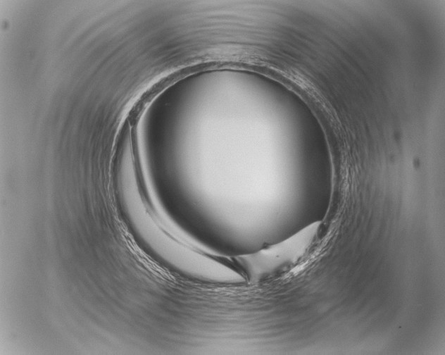 X0000054440880200508191608