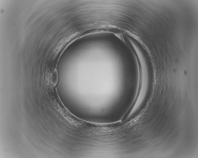 X0000054440881200508191608