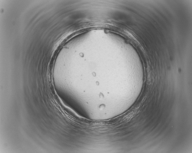 X0000054440883200508191608