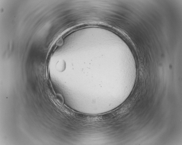 X0000054440887200508191608