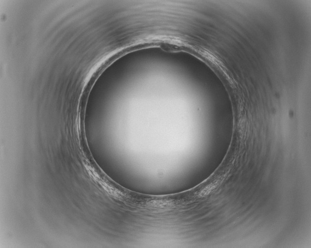 X0000054440888200508191608