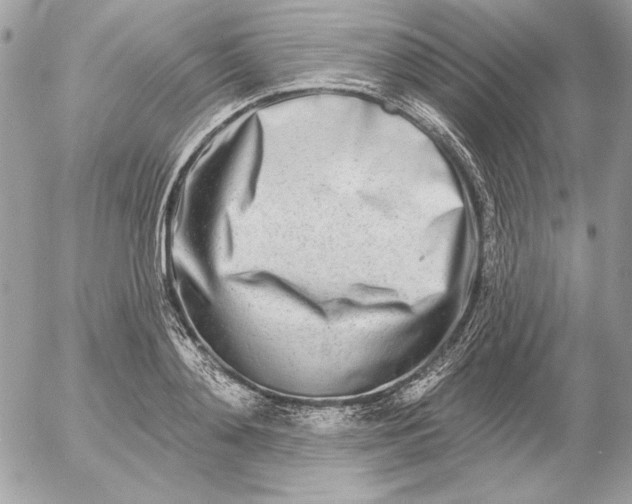 X0000054440892200508191608