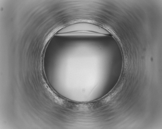 X0000054440898200508191608