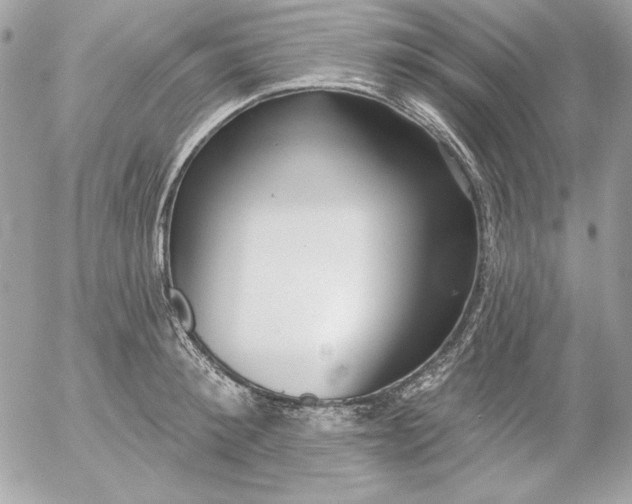 X0000054440900200508191608