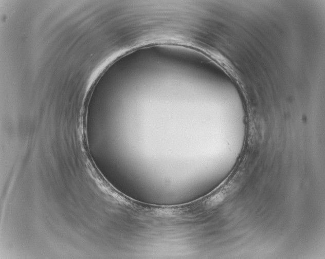 X0000054440904200508191608