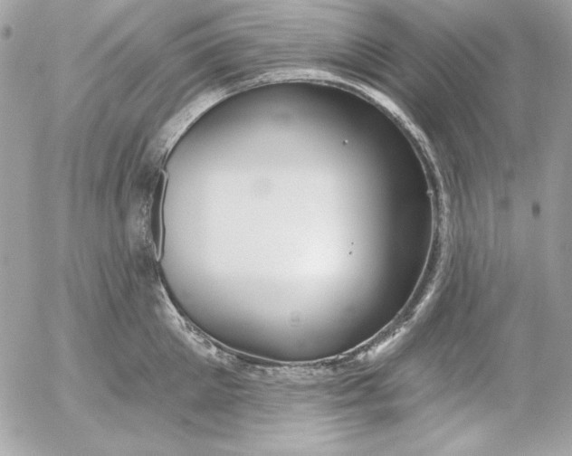 X0000054440905200508191608