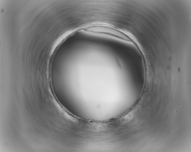 X0000054440910200508191608