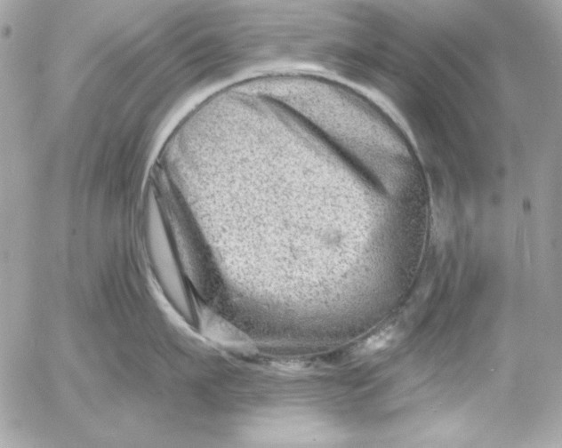 X0000054440911200508191608