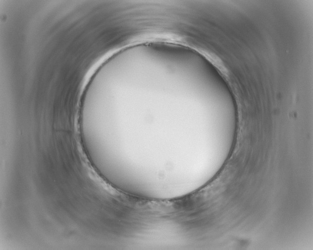 X0000054440912200508191608