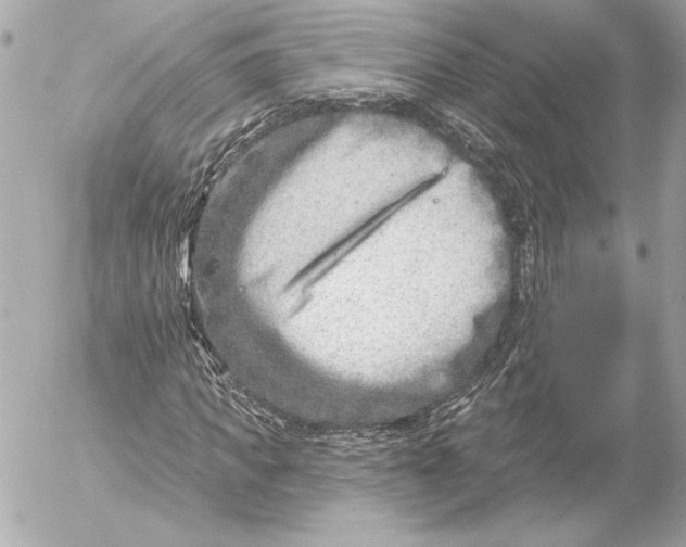 X0000054440917200508191607