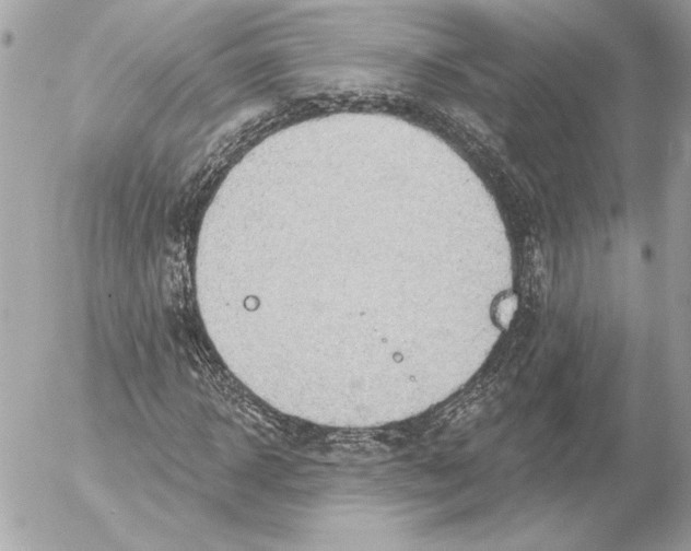 X0000054440918200508191607