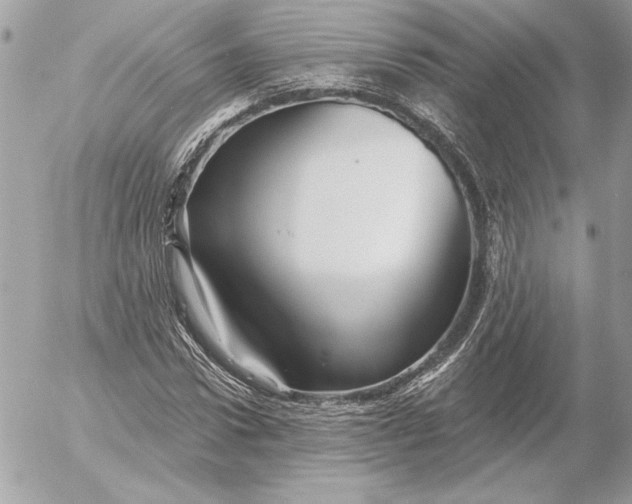 X0000054440922200508191607