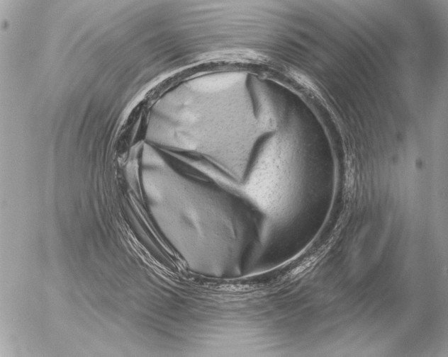 X0000054440923200508191607