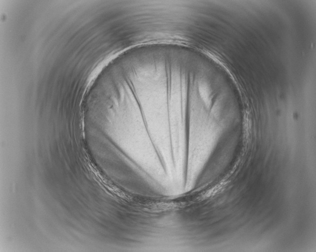 X0000054440925200508191607